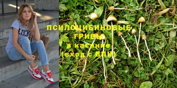 марихуана Зеленокумск